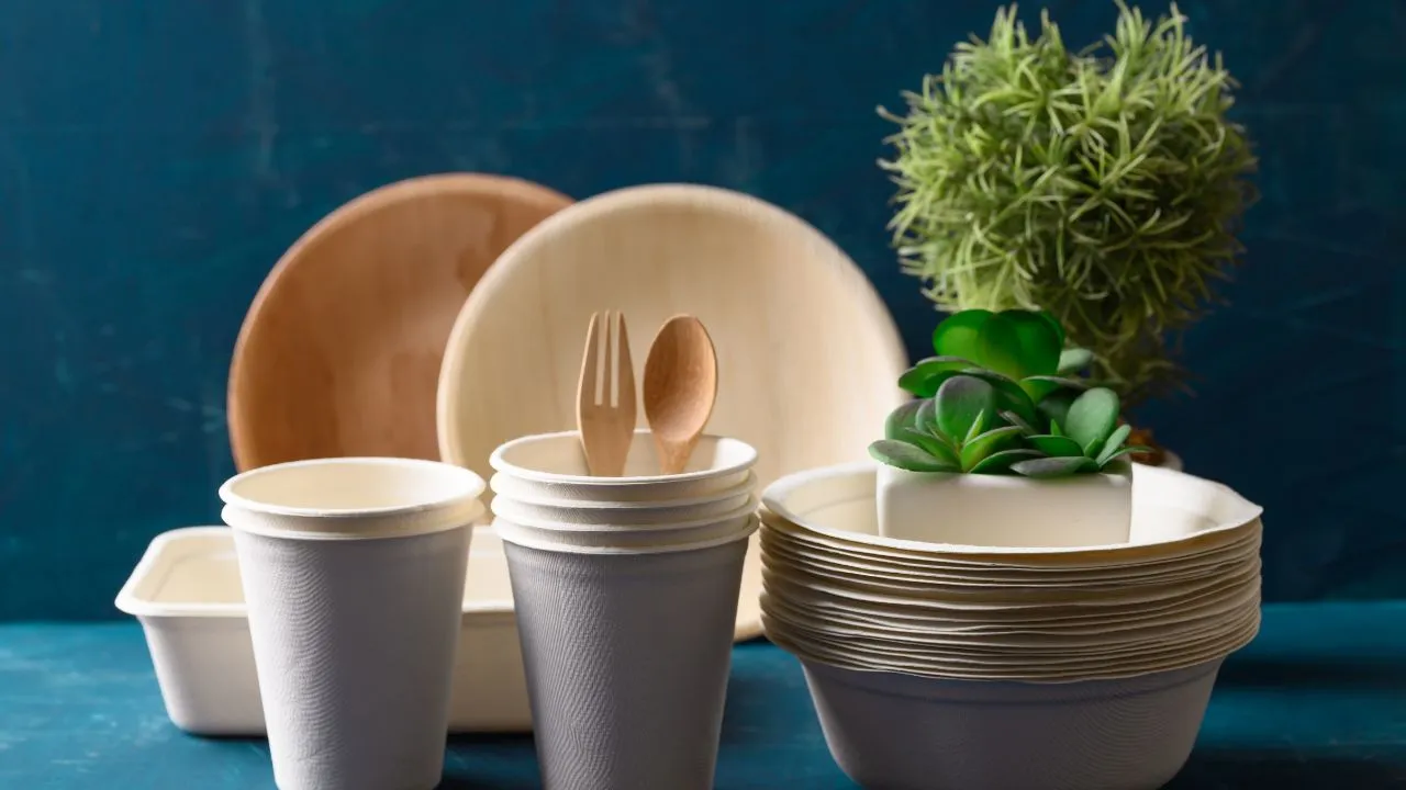 Top 5 motive să înlocuiești ambalajele din plastic cu alternative biodegradabile