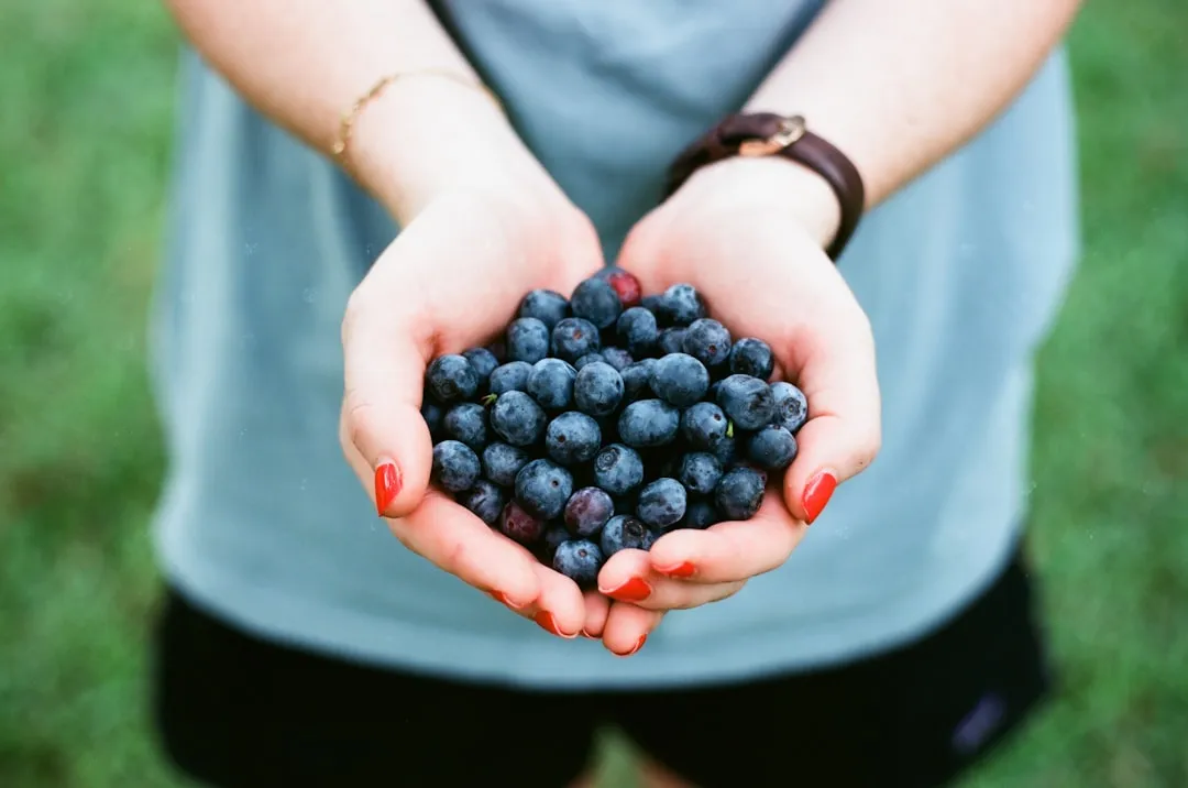 Photo Healthy snacks