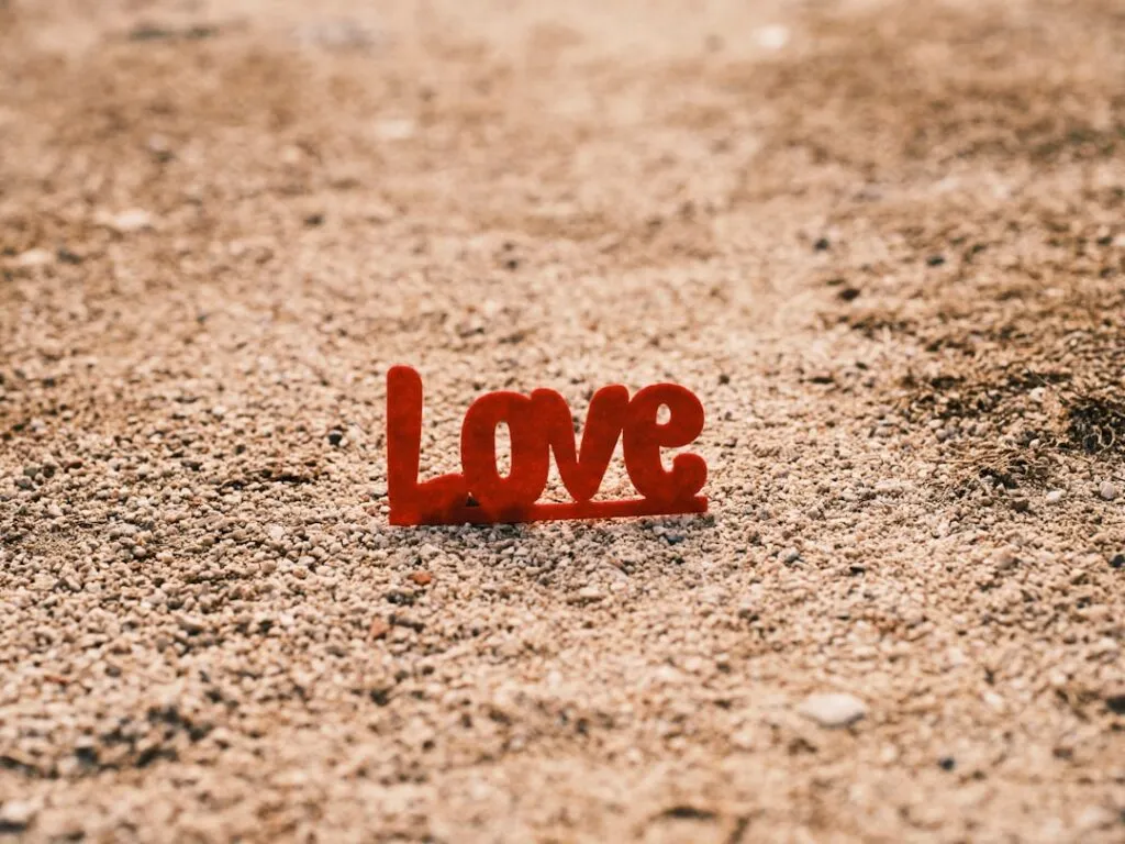 Photo reignite love