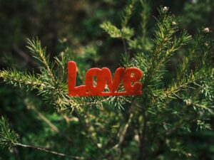 Photo karmic love horoscope