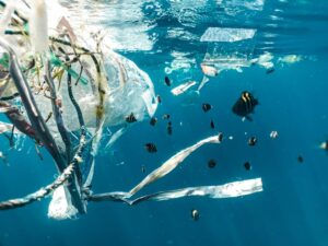 Photo reduce plastic consumption