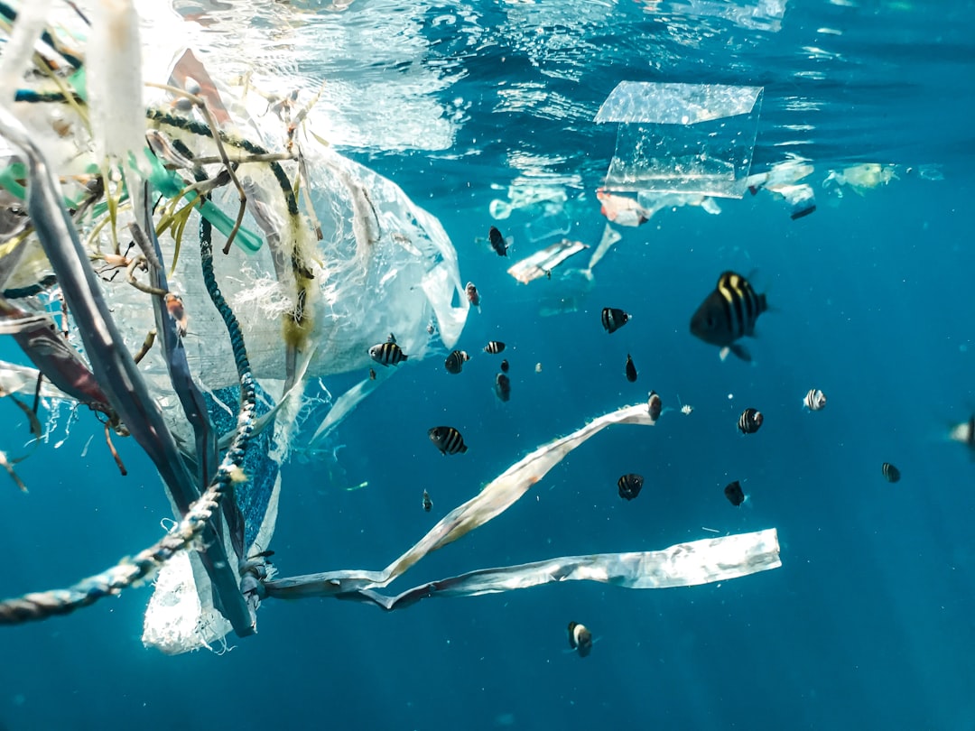 Photo reduce plastic consumption