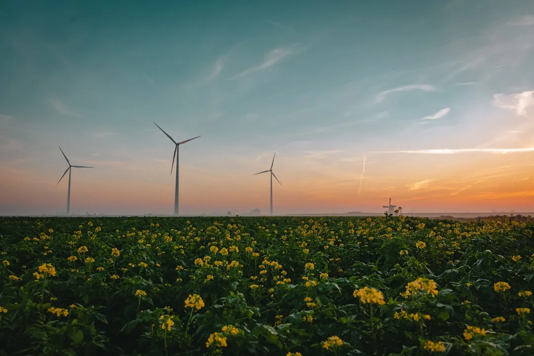 Photo responsible energy use