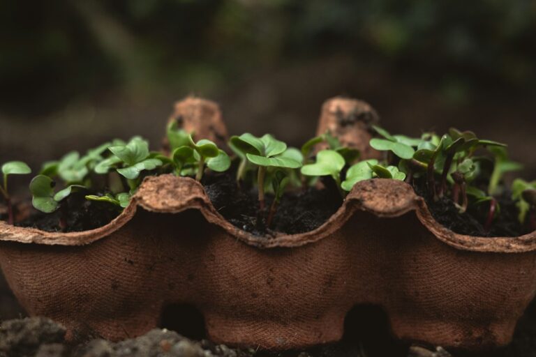 Photo composting