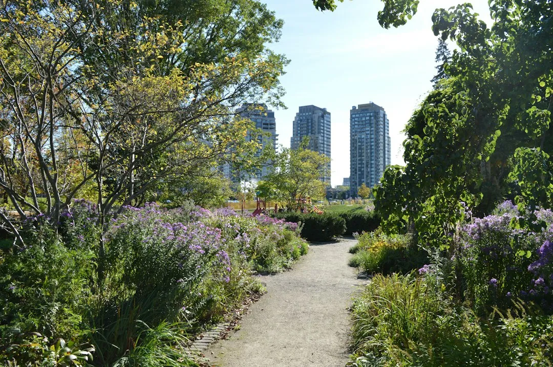 Photo urban garden biodiversity conservation