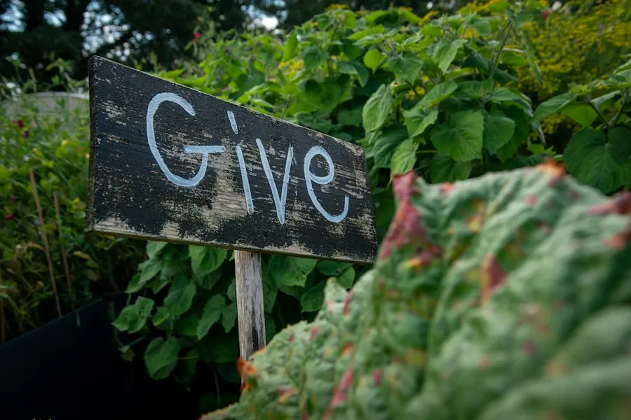 Photo common mistakes charitable donations good deeds