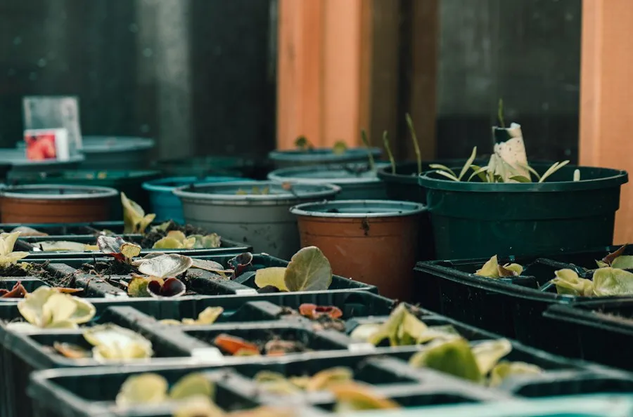 Photo food waste mistakes